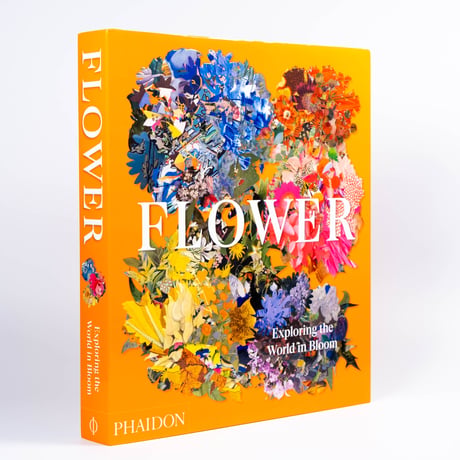 Flower: Exploring the World in Bloom