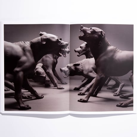 Ron Mueck: Encounter