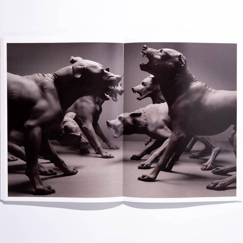 Ron Mueck: Encounter | Art Book Iskusstvo