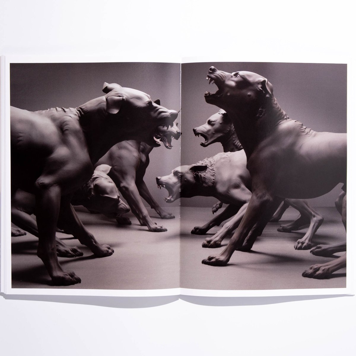 Ron Mueck: Encounter | Art Book Iskusstvo