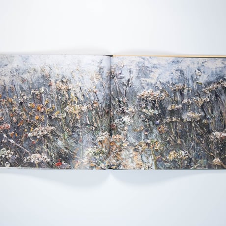 Kiefer–Van Gogh