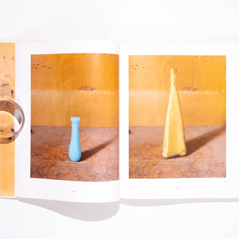 Joel Meyerowitz: Morandi's Objects | Art Book I