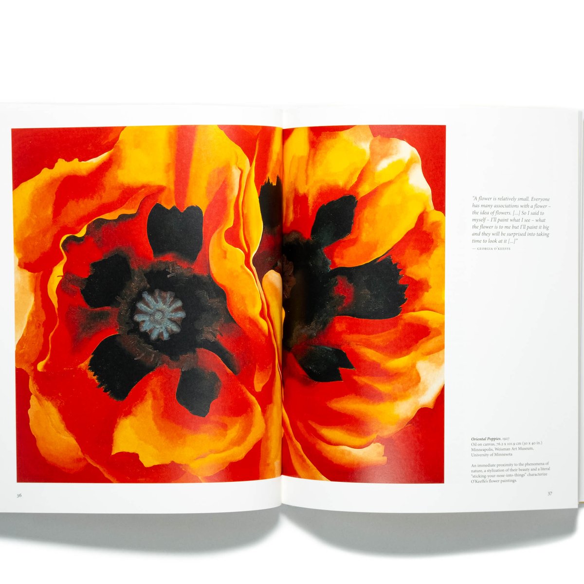 O'Keeffe | Art Book Iskusstvo