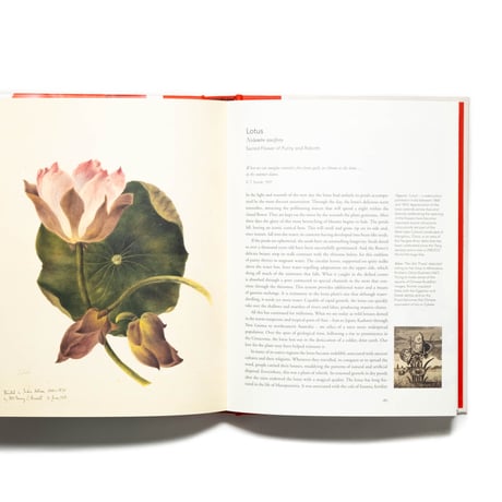 Remarkable Plants