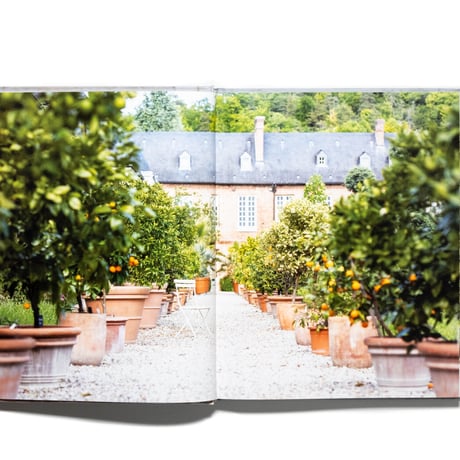 French Blooms: Floral Arrangements Inspired by Paris and Beyond