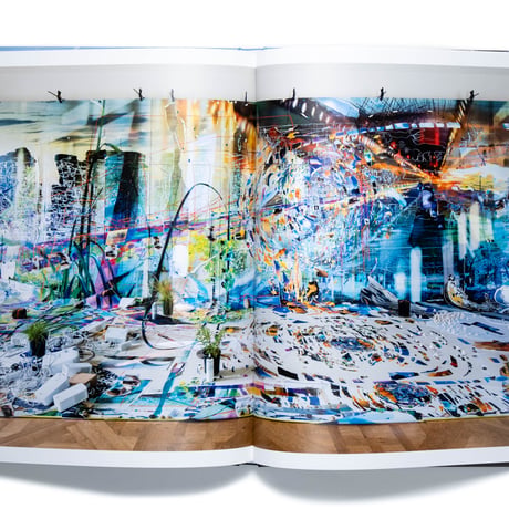 Sarah Sze: Fallen Sky