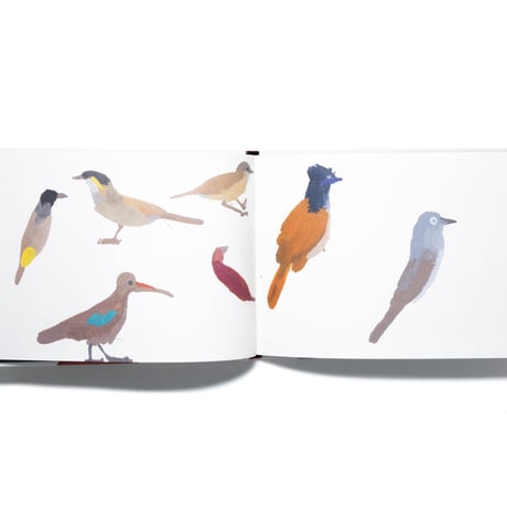A Book of Birds by Humphrey Ocean