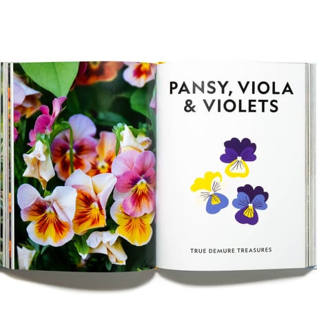 Super Bloom: A Field Guide to Flowers for Every Gardener