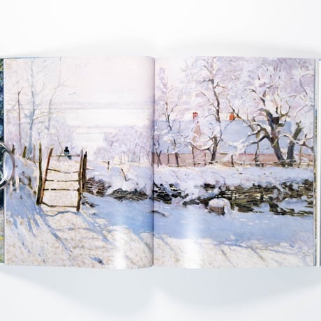 Monet: The Bigger Picture