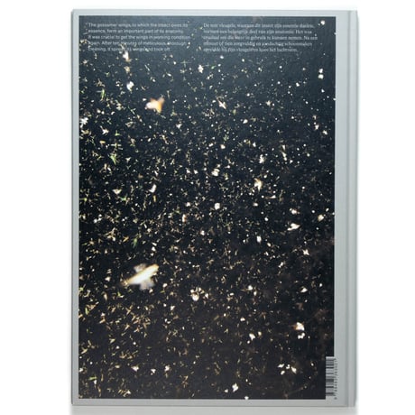Rogier Maaskant – Sense of Presence