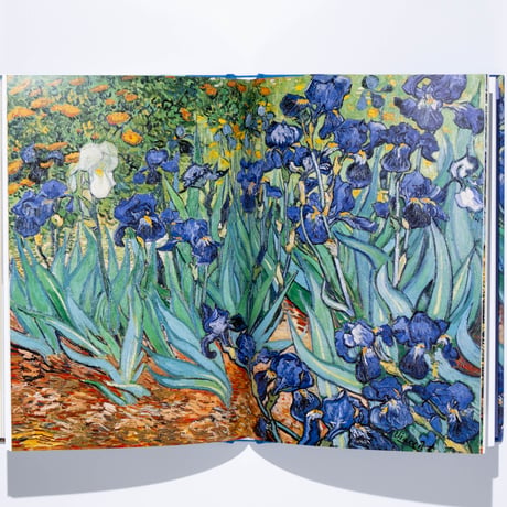 Vincent's Gardens: Paintings and Drawings