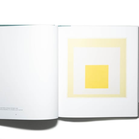 Albers and Morandi: Never Finished