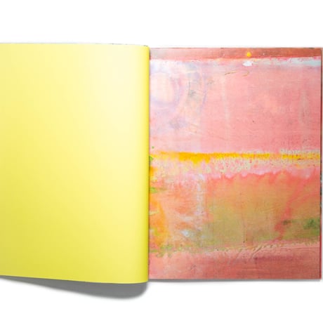 Frank Bowling: Penumbral Light