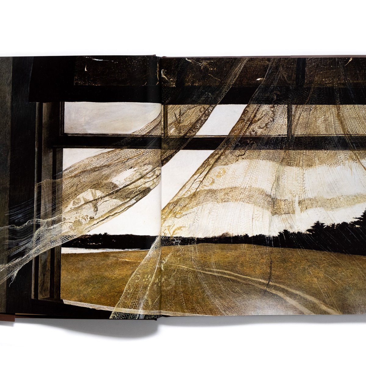 Andrew Wyeth: Memory and Magic | Art Book Iskus