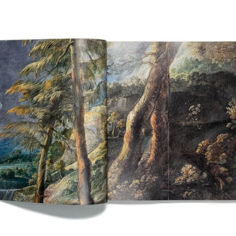 Rubens's Great Landscape with a Tempest