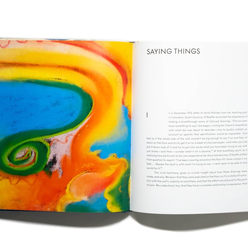 Georgia O'Keeffe: To See Takes Time | Art Book