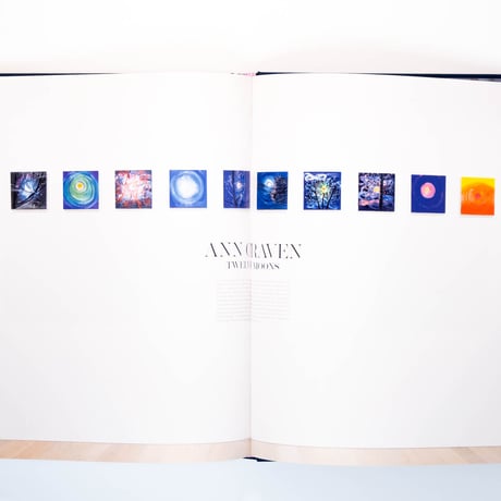 Ann Craven: Twelve Moons