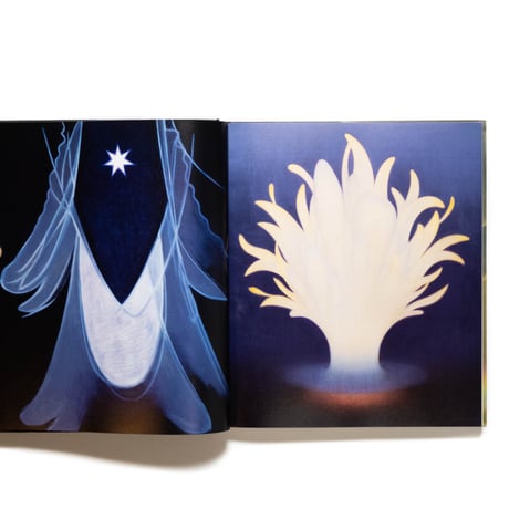 Agnes Pelton: Desert Transcendentalist