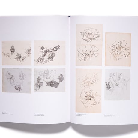 Henry Van De Velde: The Complete Paintings And Drawings