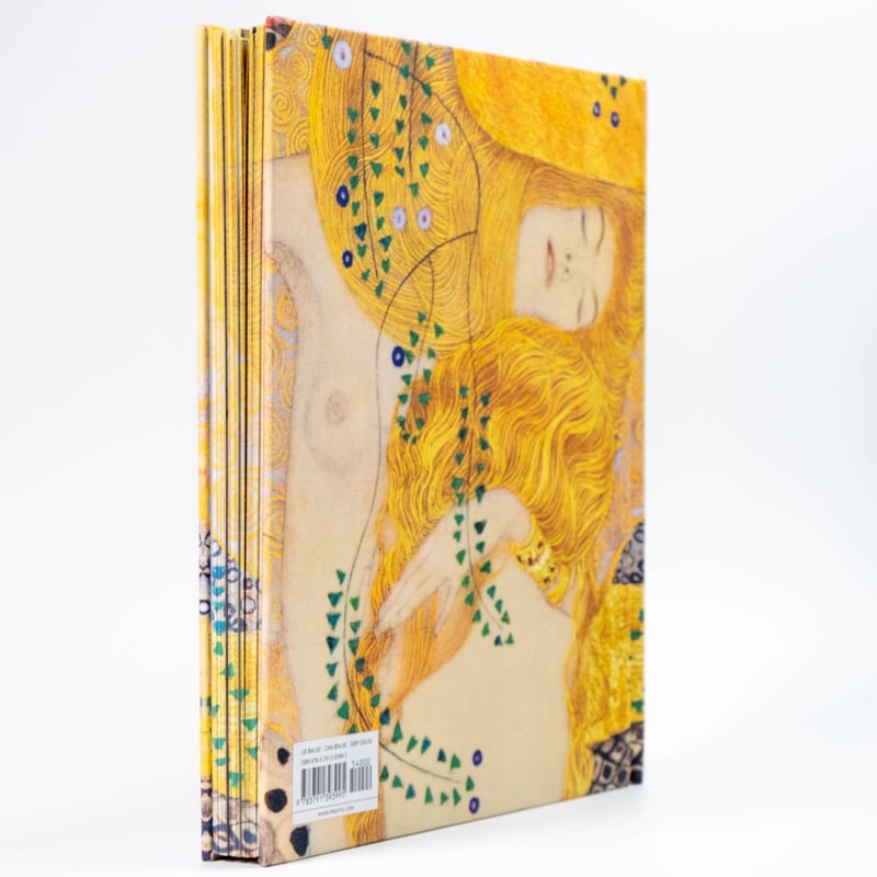 Klimt: The Bigger Picture | Art Book Iskusstvo