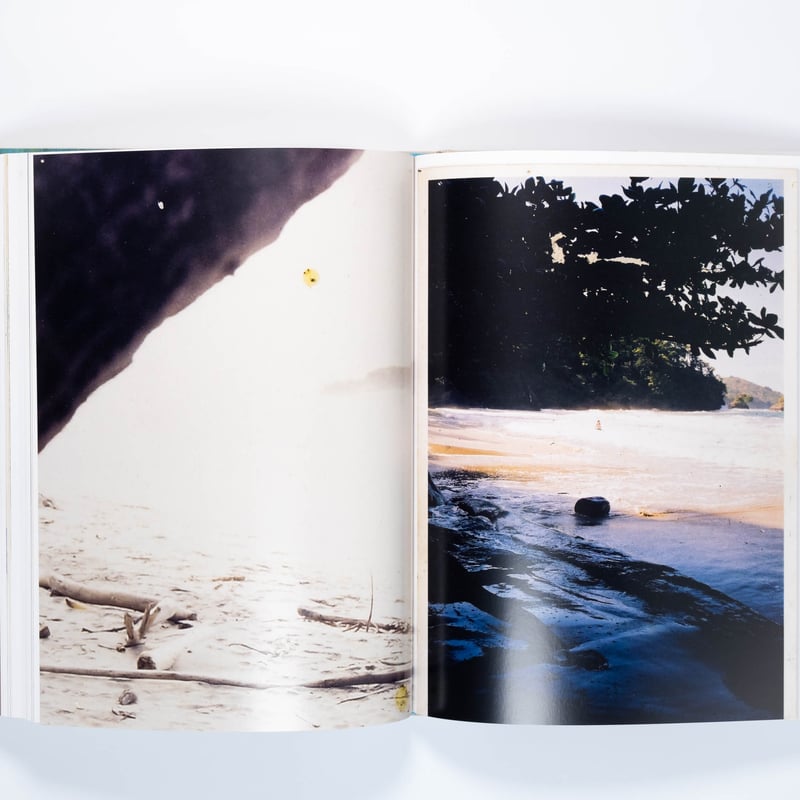 Peter Doig | Art Book Iskusstvo