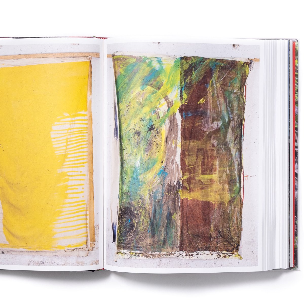 Vivian Suter | Art Book Iskusstvo