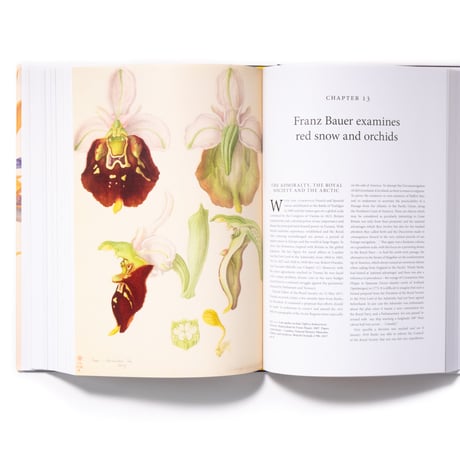 The Bauers Joseph, Franz & Ferdinand : Masters of Botanical Illustration