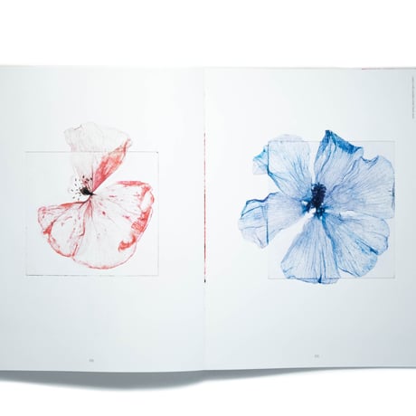 Brigitte Lustenberger: An Apparition of Memory