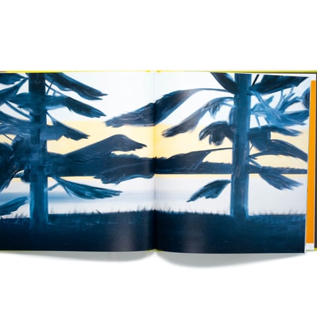 Alex Katz: Quick Light