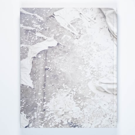 Anselm Kiefer: The Women