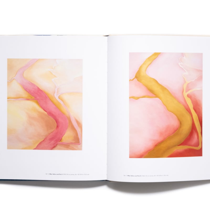 Georgia O'Keeffe: To See Takes Time | Art Book
