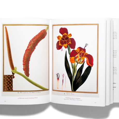 A Garden Eden. Masterpieces of Botanical Illustration. 40th Ed.