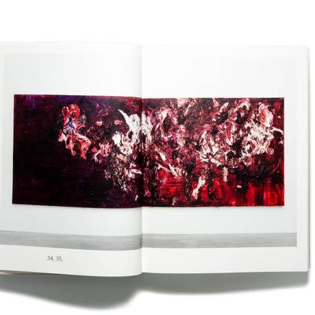 Anish Kapoor: Painting