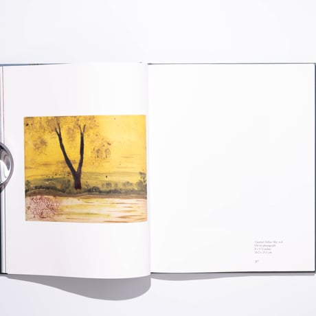 By Land, Air, Home, and Sea: The World of Frank Walter