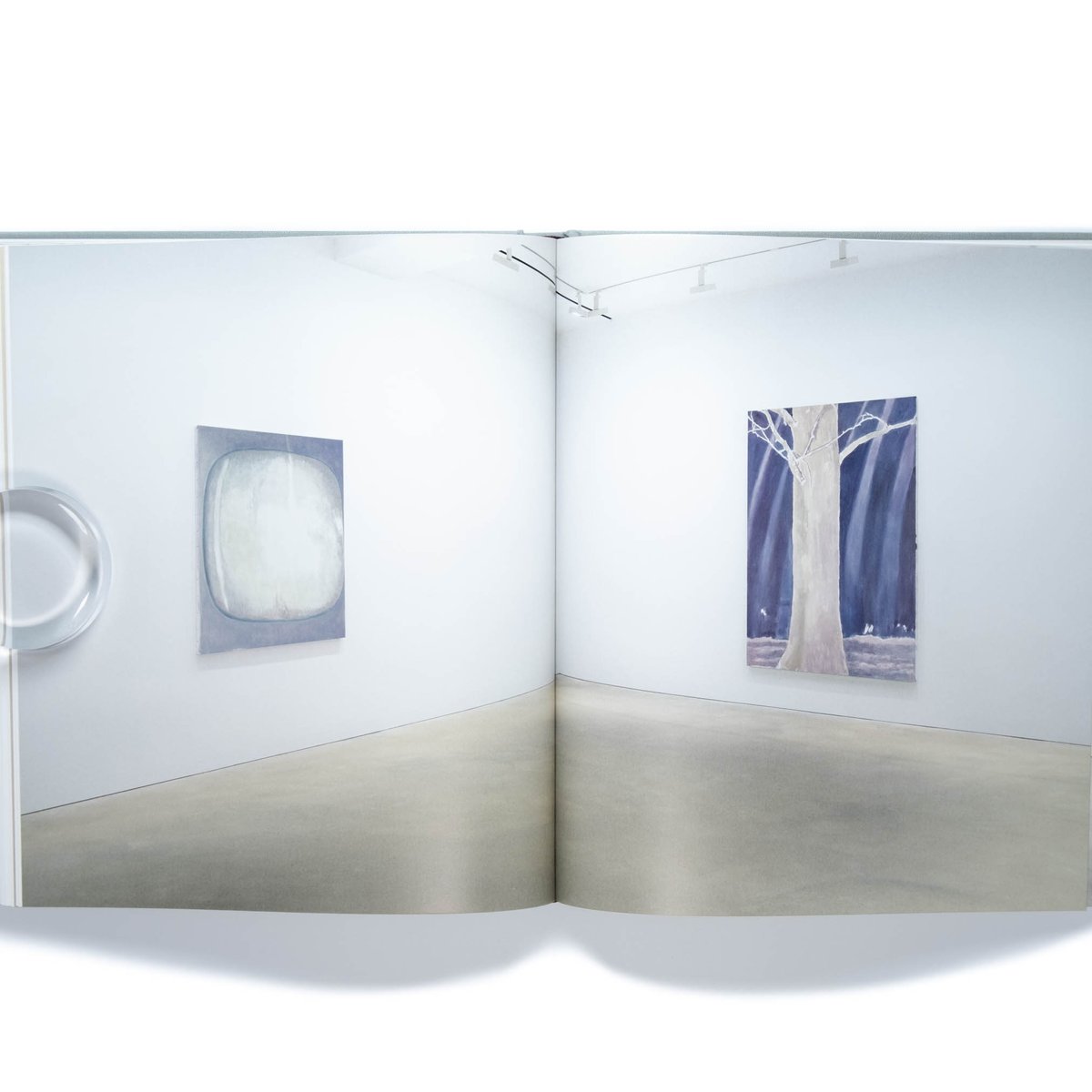 Luc Tuymans 新版 改訂・拡張版 画集 美品