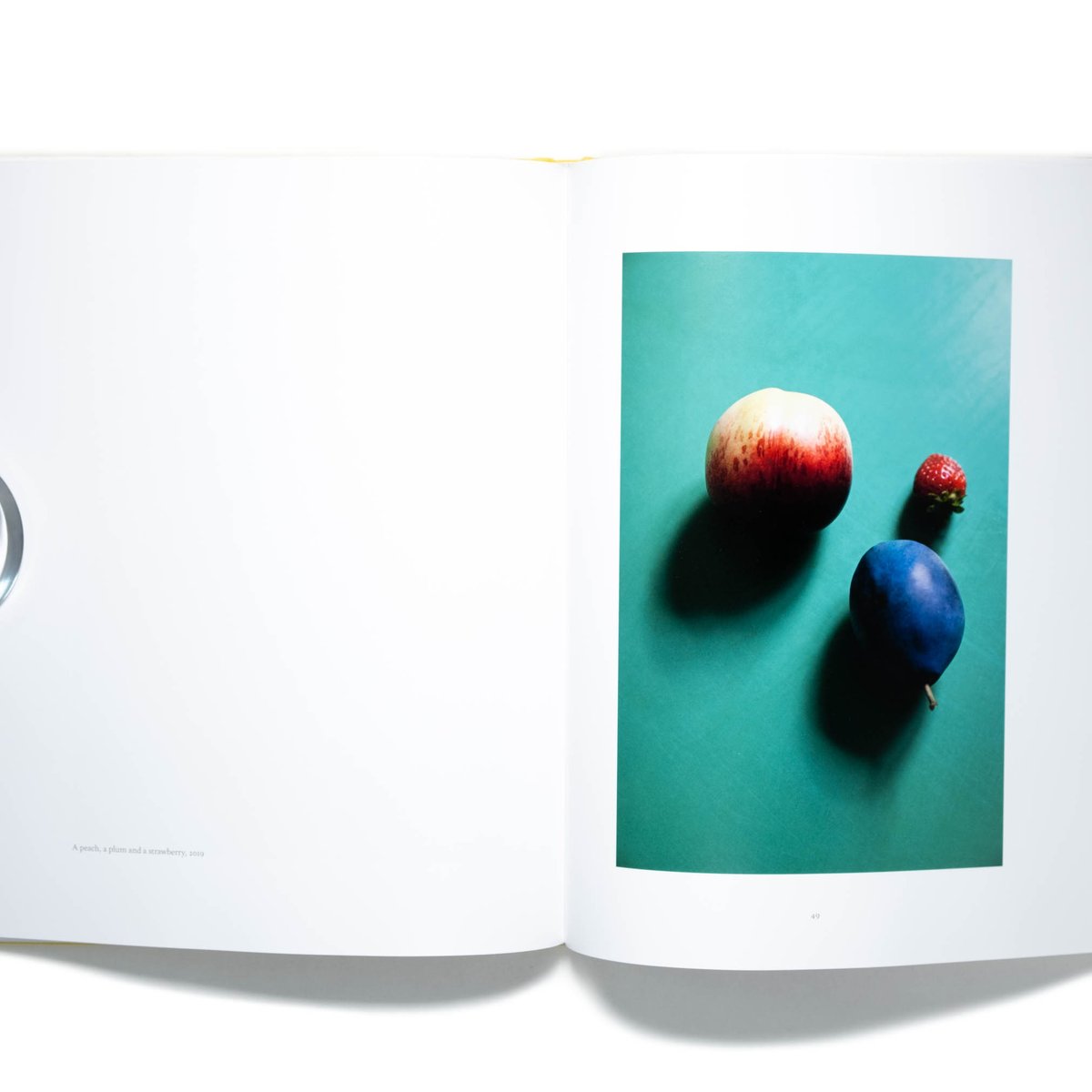 PHILIPP KEEL:COLOR/フィリップ・キール 写真集 作品集 洋書 Philipp Keel: Last Summer | Art Book Iskusstvo