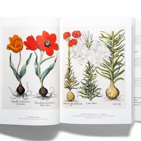 A Garden Eden. Masterpieces of Botanical Illustration. 40th Ed.