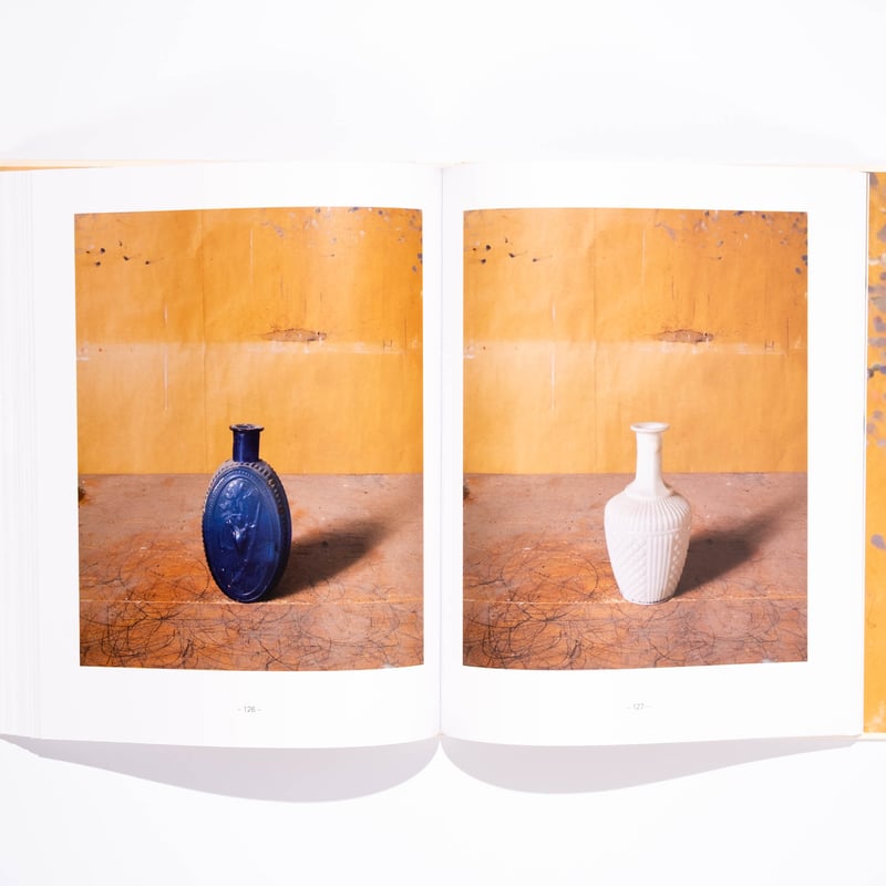 Joel Meyerowitz: Morandi's Objects | Art Book I