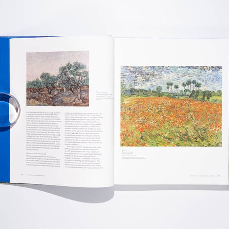 Van Gogh in Auvers-sur-Oise: His Final Months