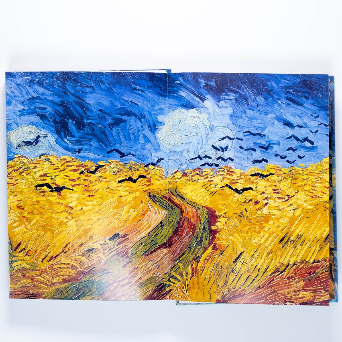 Van Gogh: The Essential Paintings | Art Book Is