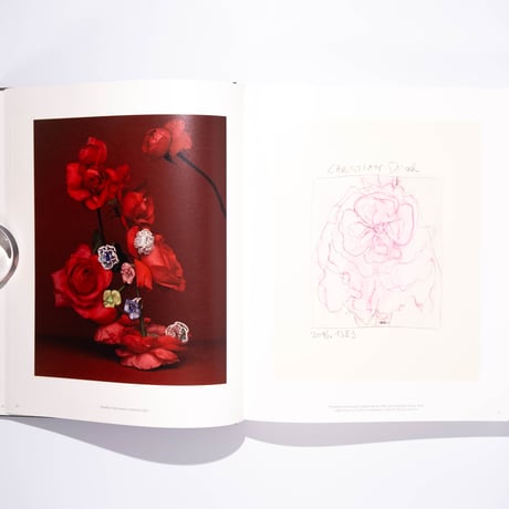 Niedermair, Dior. Drawing, photography