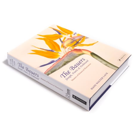 The Bauers Joseph, Franz & Ferdinand : Masters of Botanical Illustration