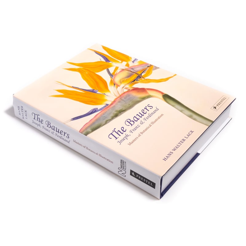 The Bauers Joseph, Franz & Ferdinand : Masters