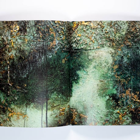 Anselm Kiefer: Mein Rhein