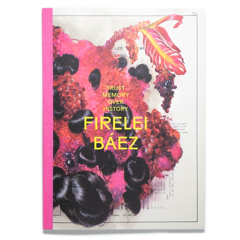 Firelei Báez: Trust Memory over History | Art B