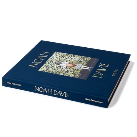 Noah Davis: In Detail