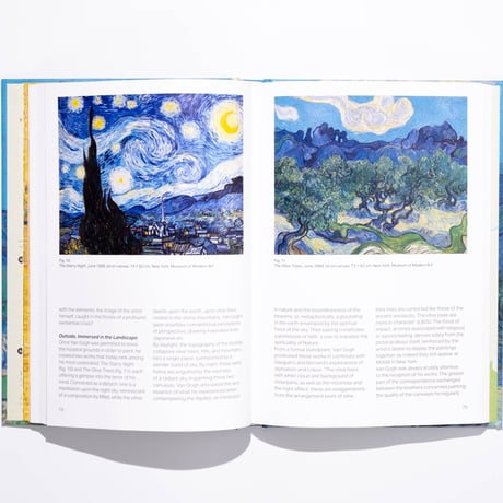 Vincent van Gogh in Saint-Rémy-de-Provence