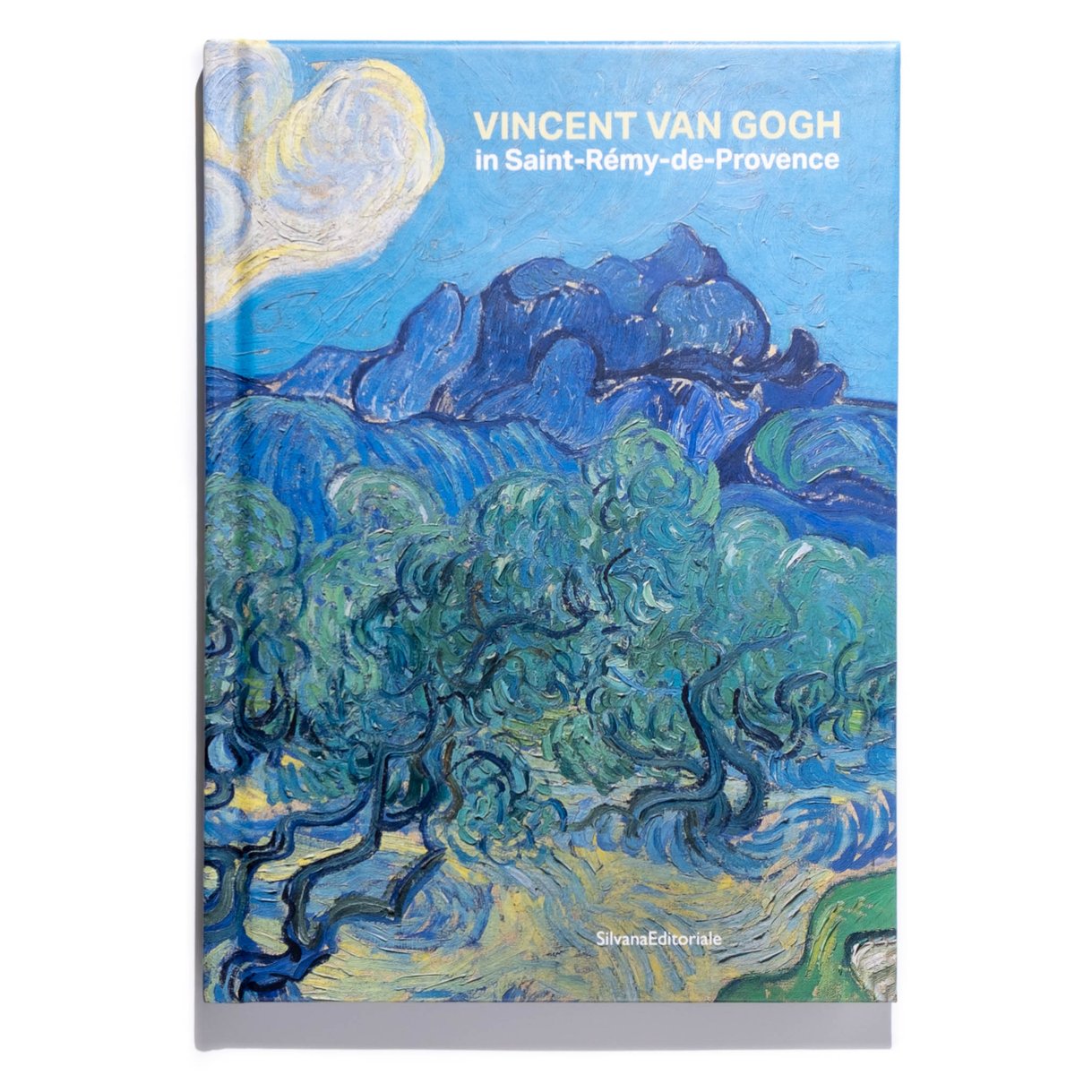 Vincent van Gogh in Saint-Rémy-de-Provence | Ar