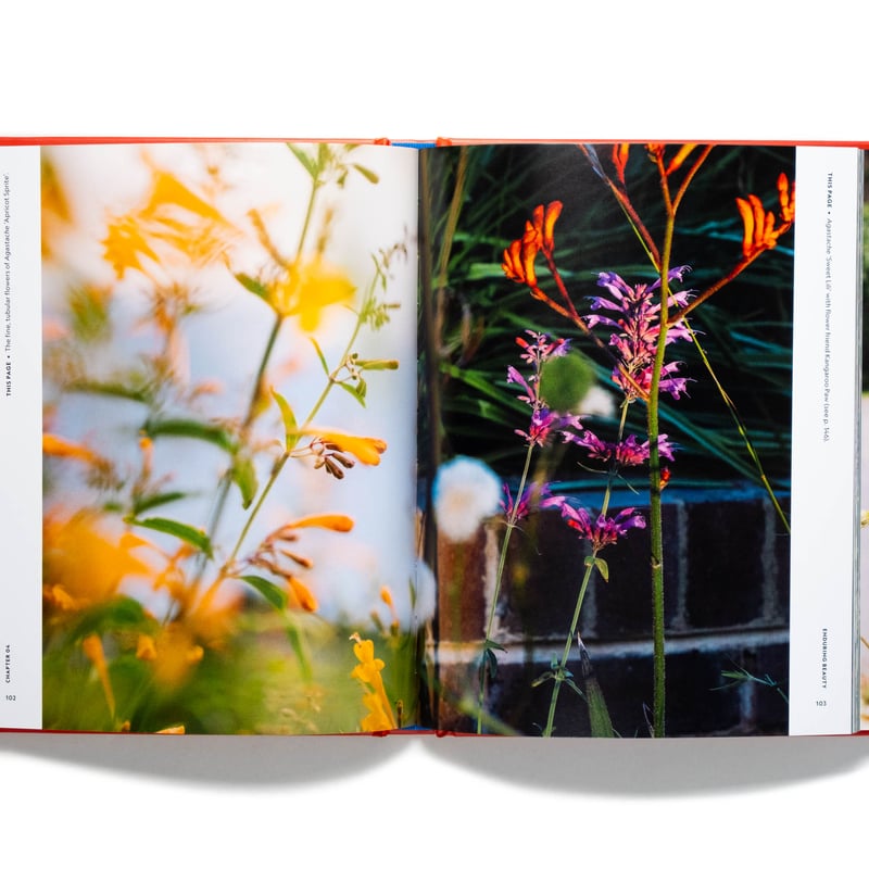 The Super Bloom Handbook | Art Book Iskusstvo