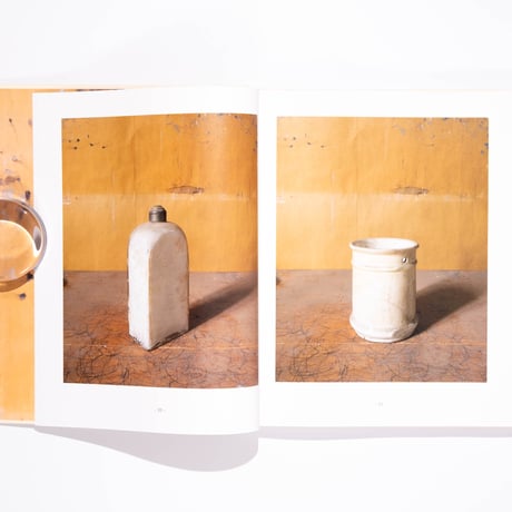 Joel Meyerowitz: Morandi's Objects